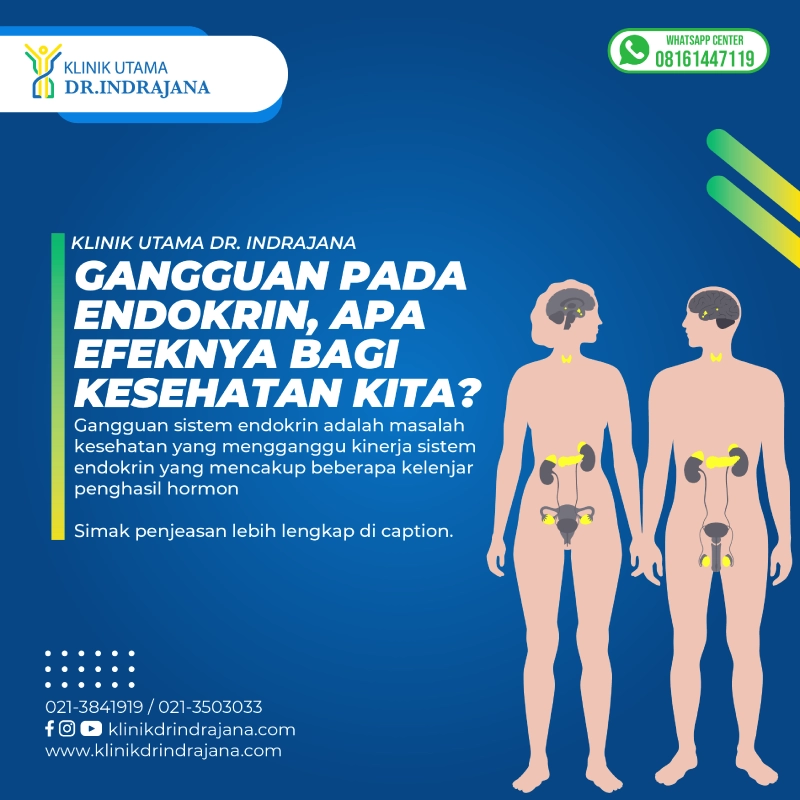 dr indrajana content-05